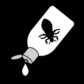 lice shampoo